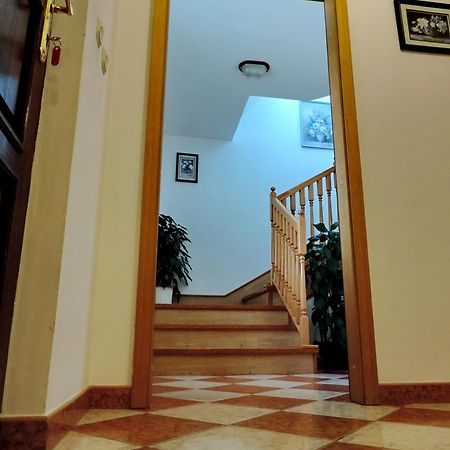 Apartment Peric زادار المظهر الخارجي الصورة